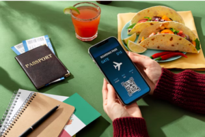 What Can Affect Airfare for a Phoenix to Calicut Trip?